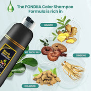 3-IN-1 BLACK HAIR DYE SHAMPOO (AYURVEDIC NO SIDE EFFECT)